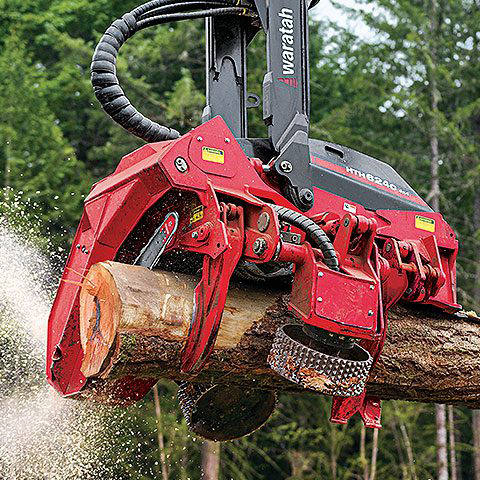 Harvester head cutting a log in forest operationForestry harvester head processing timber on site