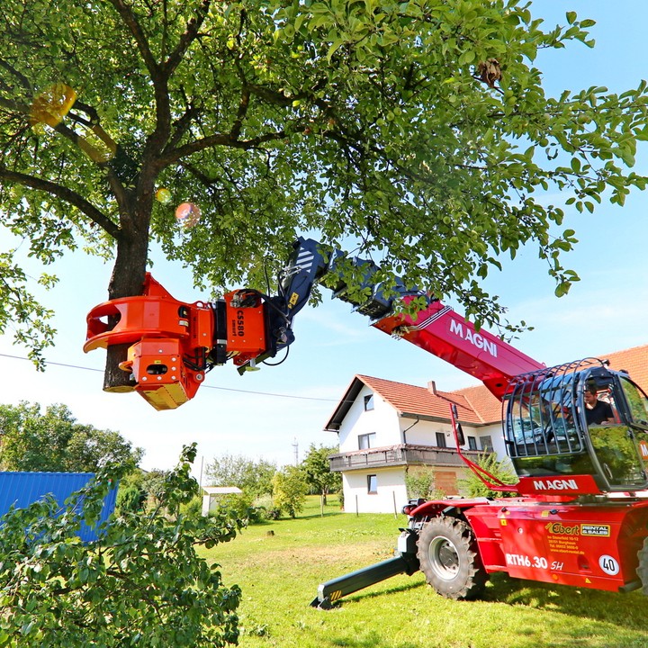 Grapple saw attachment pruning a large tree from a telehandler in a yard