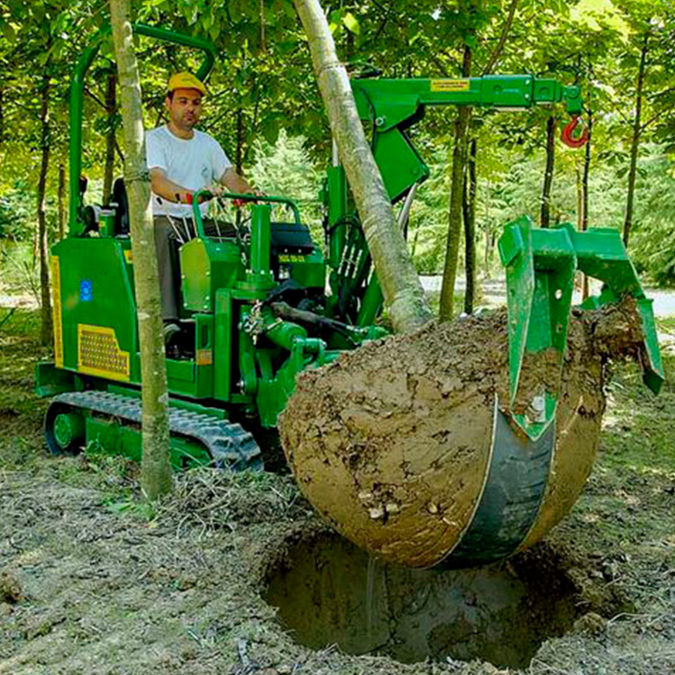 tree moving machine lifting a tree with an intact root ball