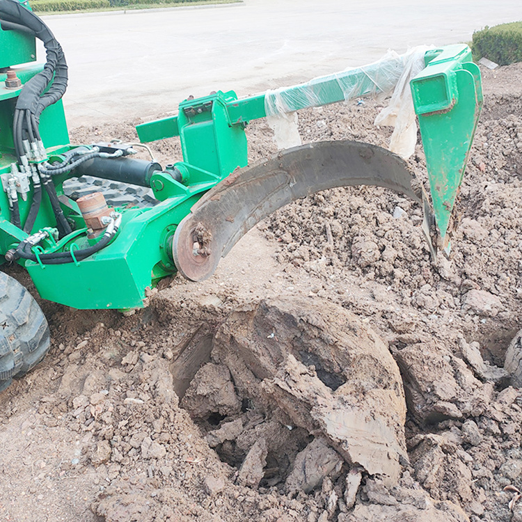 root ball digger blade cutting soil during transplant preparation