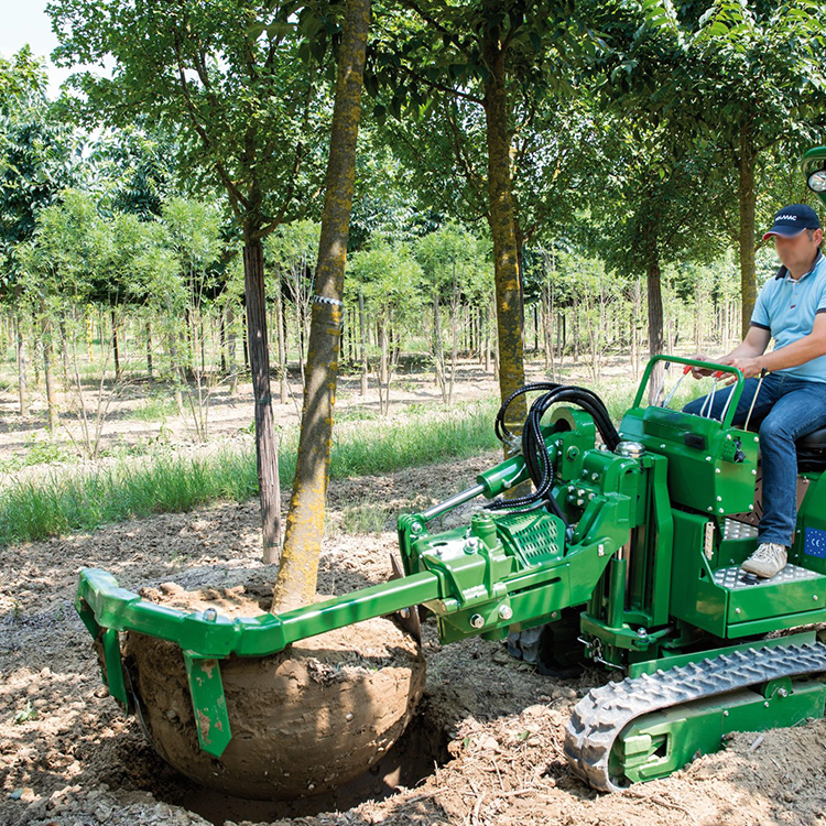 tree spade working around a standing tree before lifting