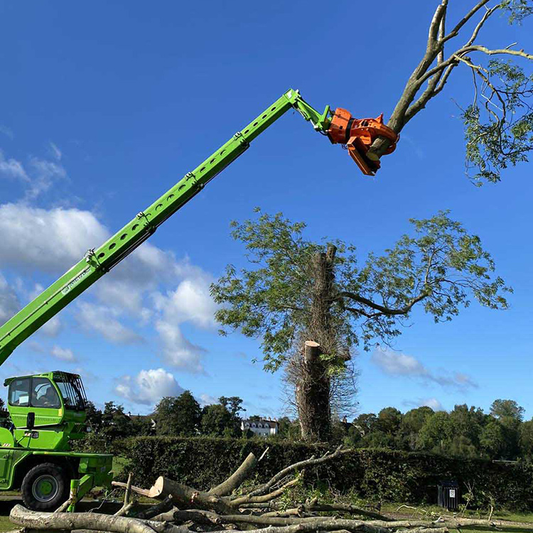 Pruning grapple saw cutting a high tree branch with a long reach machine