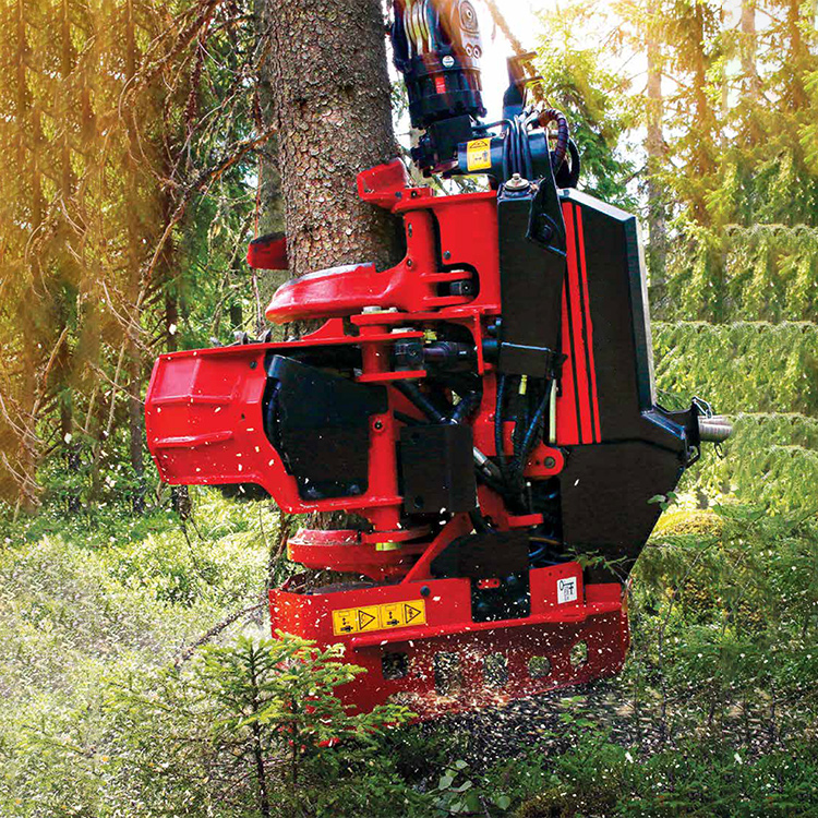 Tree harvester head gripping standing treeForestry harvester head cutting tree in forest