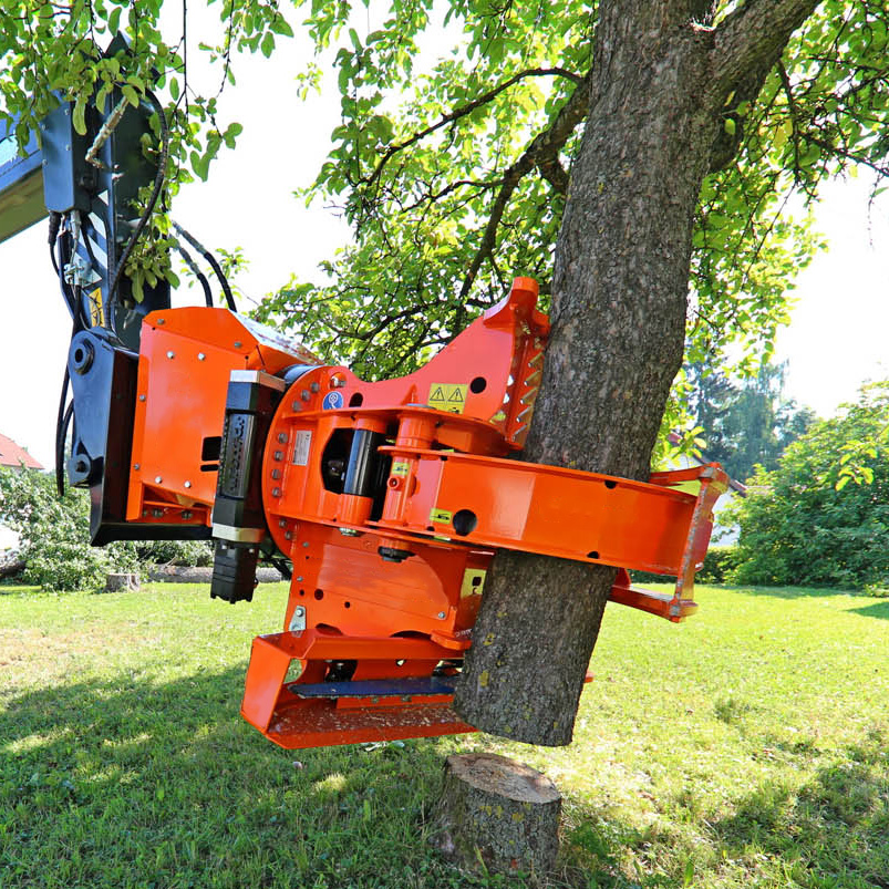 Grapple saw attachment clamping a tree trunk before cutting