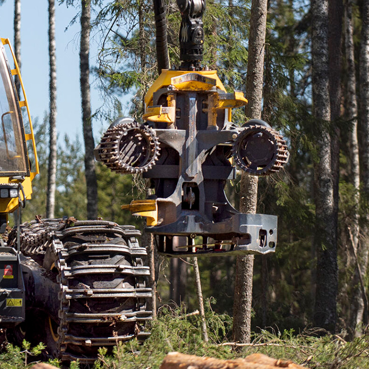 Front view of forestry harvester headForestry processing head displayed in forest