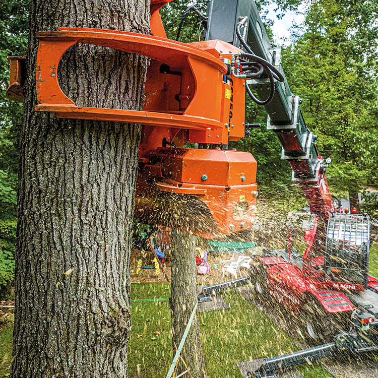 Grapple bar saw cutting a tree trunk with wood chips flying