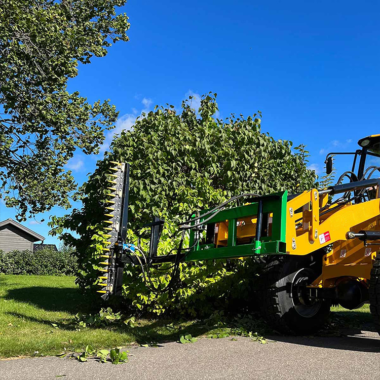 Hedge trimmer cutting dense hedge in landscape maintenance work